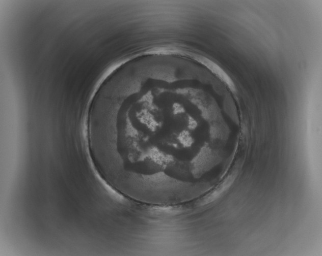 X0000111160855200907071127