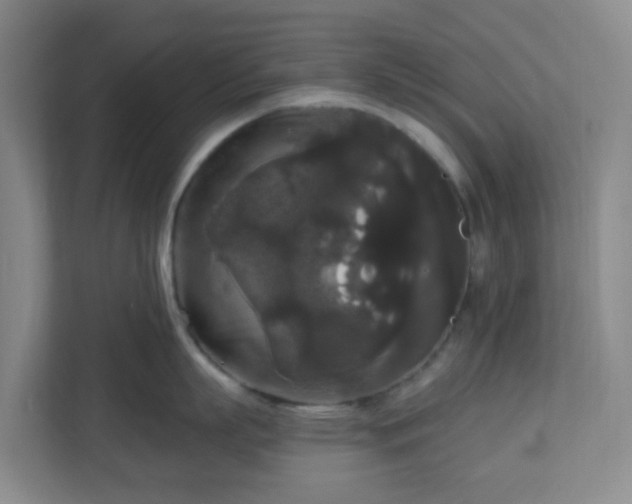 X0000111160863200907071127