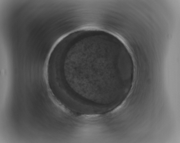 X0000111160864200907071127