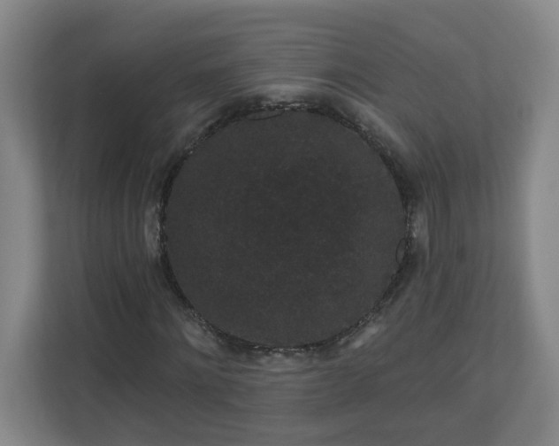 X0000111160868200907071127