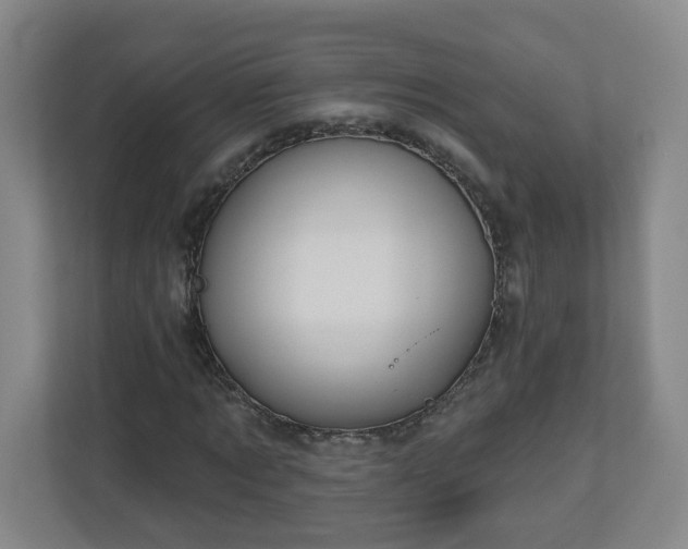 X0000111160869200907071127