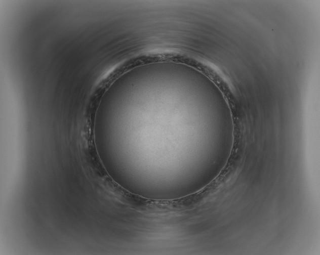 X0000111160871200907071127