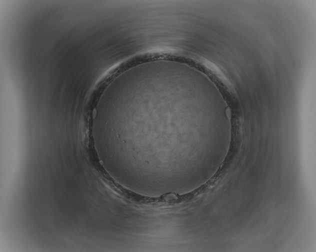 X0000111160872200907071127