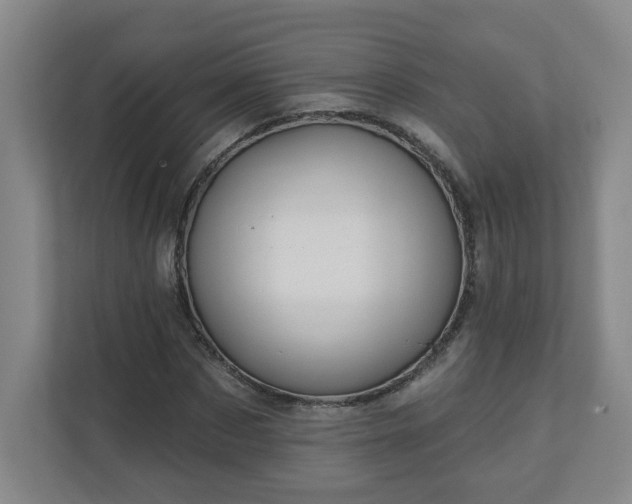 X0000111160873200907071127