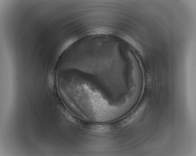 X0000111160874200907071127