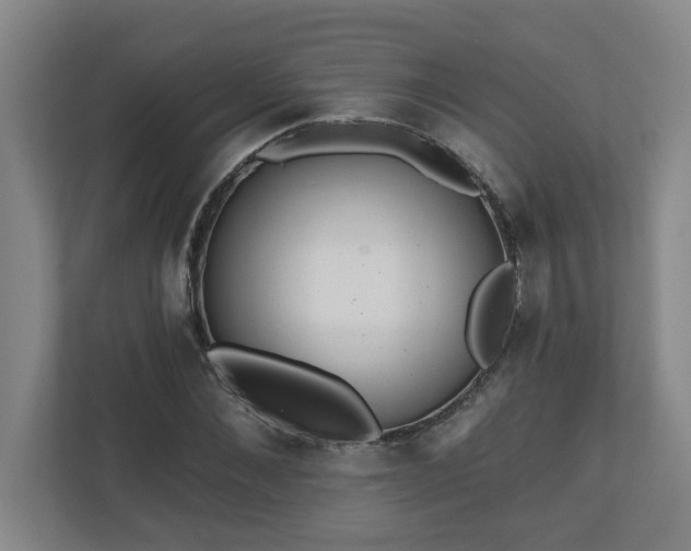 X0000111160876200907071127