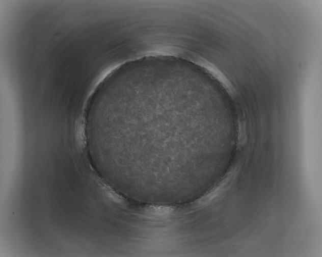 X0000111160878200907071127
