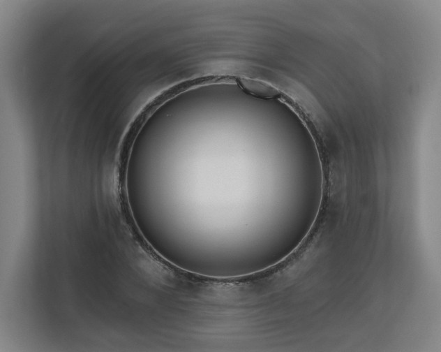 X0000111160880200907071127