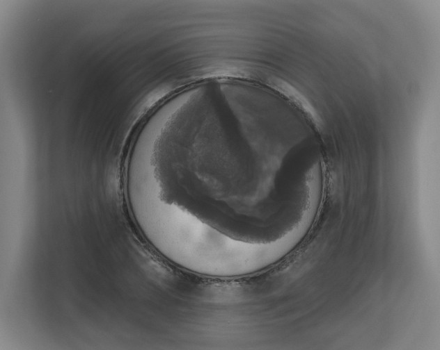 X0000111160882200907071127