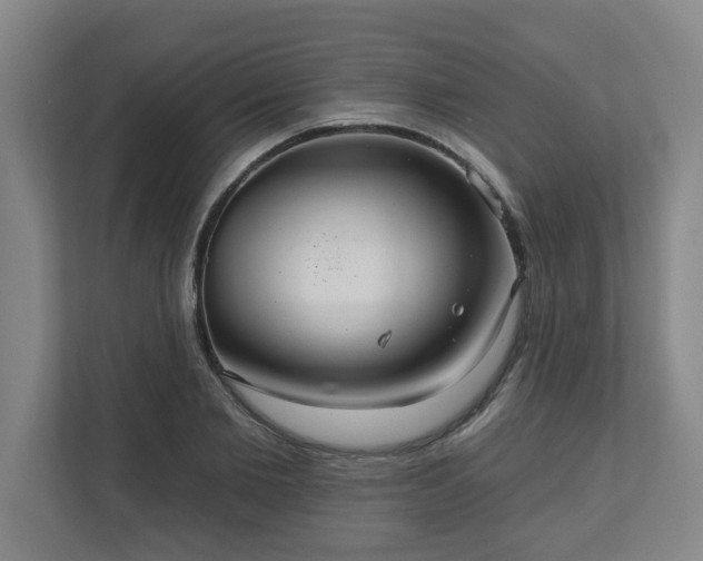 X0000111160885200907071127