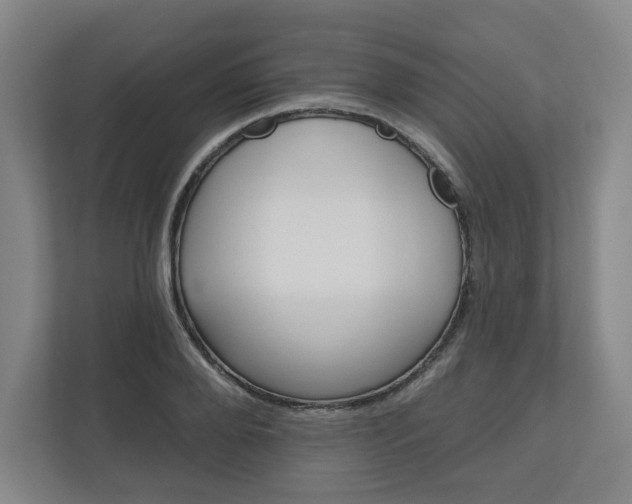 X0000111160888200907071127