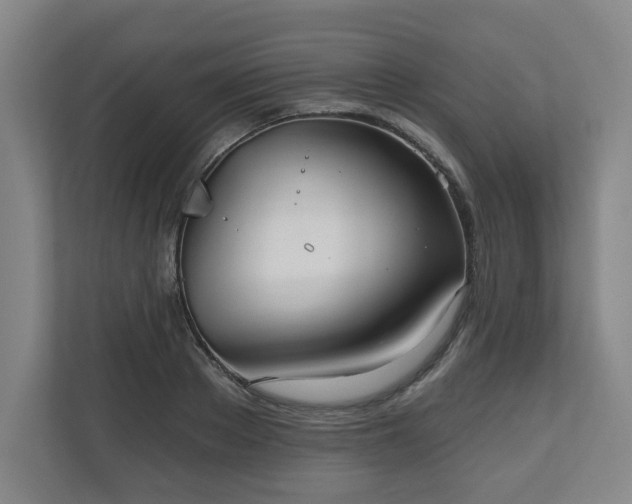 X0000111160889200907071127
