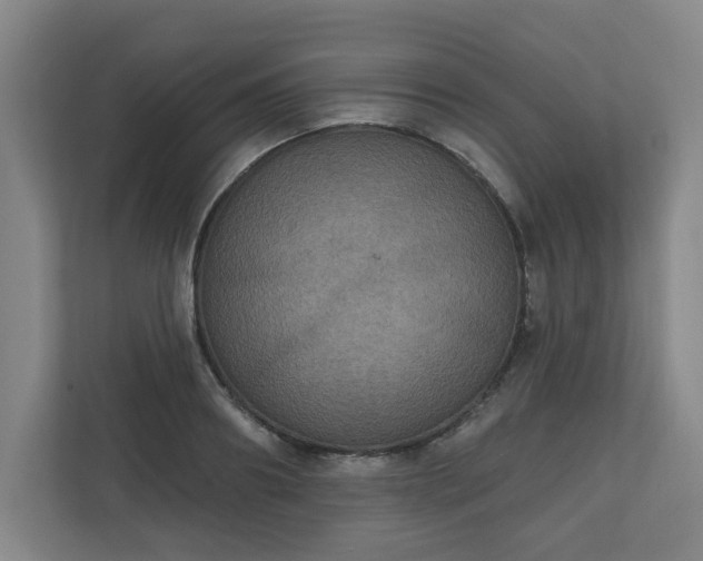 X0000111160890200907071127