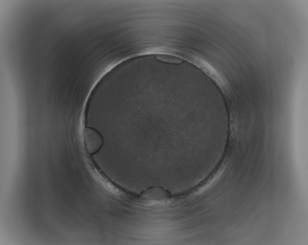 X0000111160892200907071126