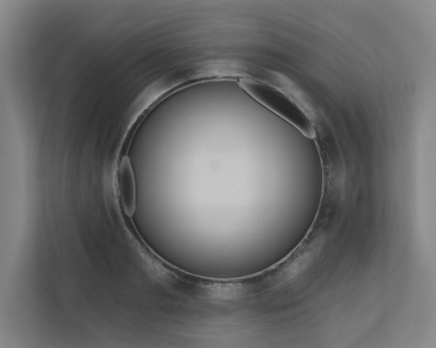 X0000111160893200907071126