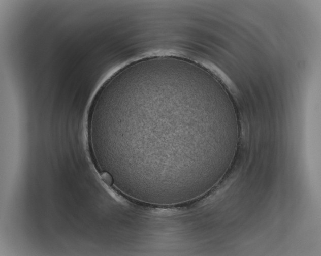 X0000111160894200907071126