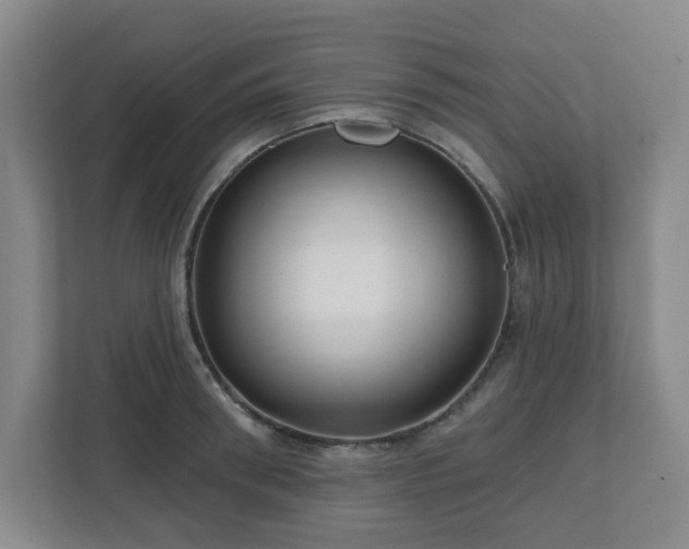 X0000111160898200907071126