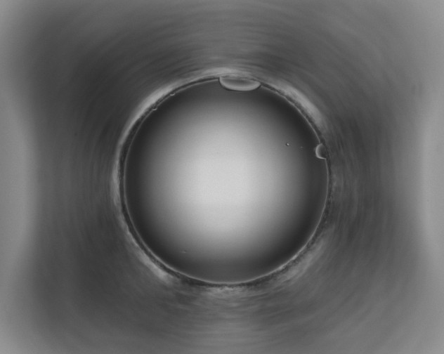 X0000111160902200907071126