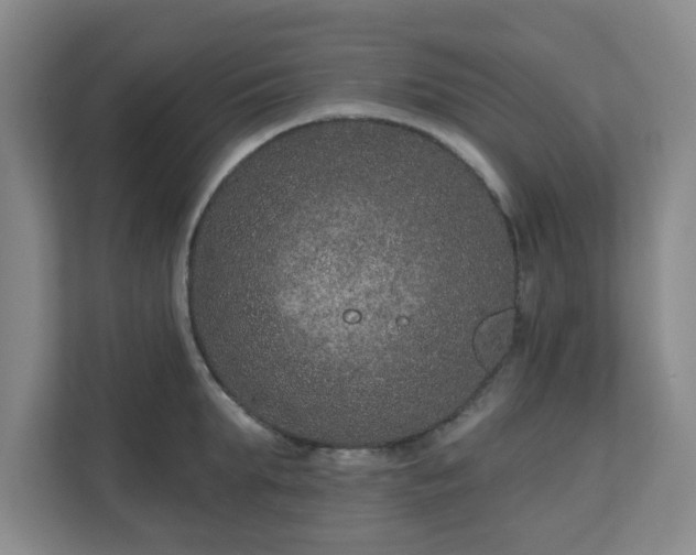 X0000111160903200907071126