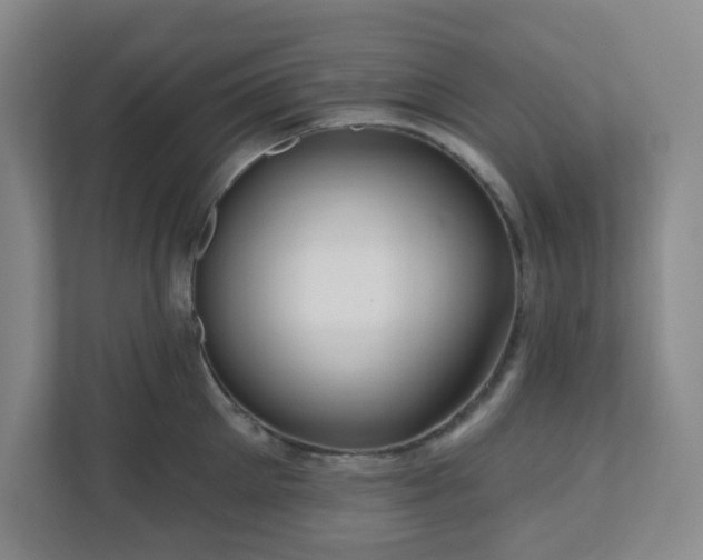X0000111160905200907071126