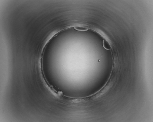 X0000111160906200907071126