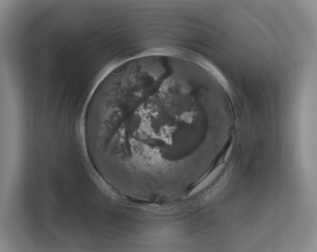 X0000111160907200907071126