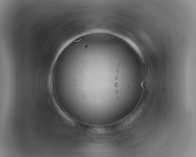 X0000111160911200907071126