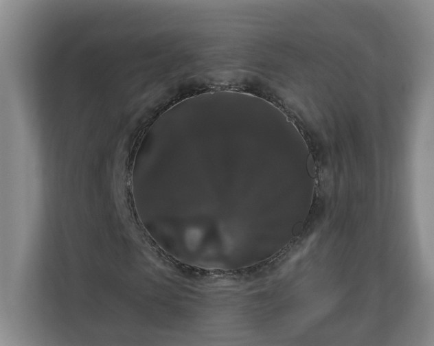 X0000111160913200907071126