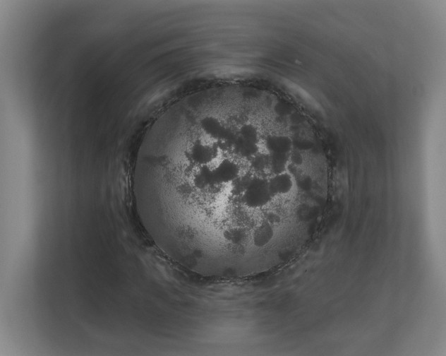 X0000111160917200907071126