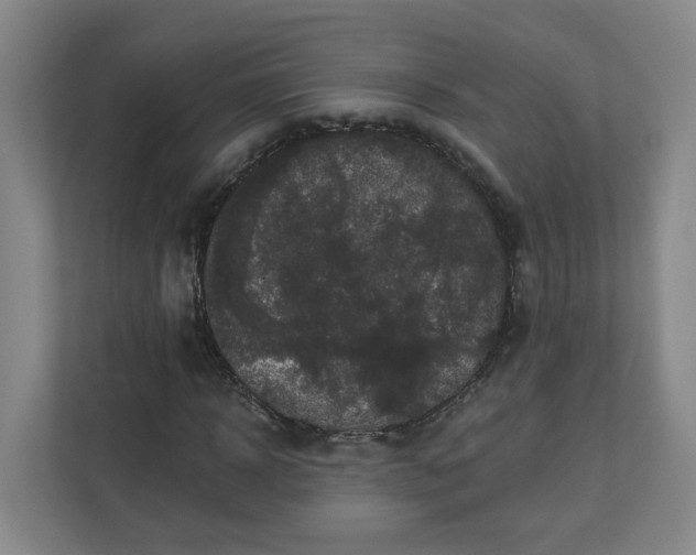 X0000111160918200907071126