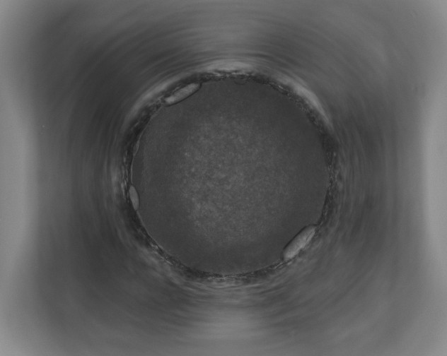 X0000111160920200907071126