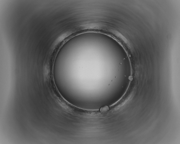 X0000111160922200907071126