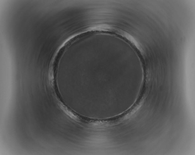 X0000111160923200907071126