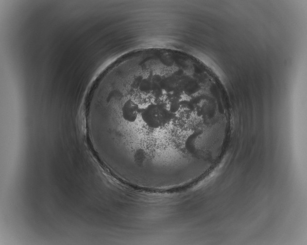 X0000111160925200907071126