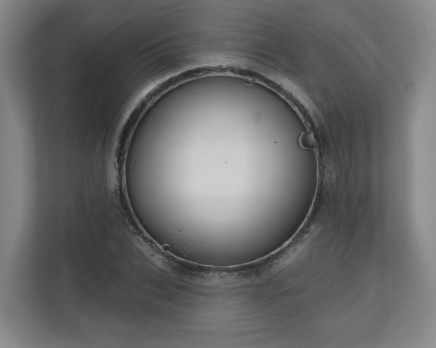 X0000111160927200907071126