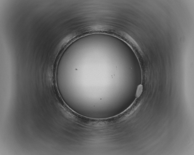 X0000111160930200907071126