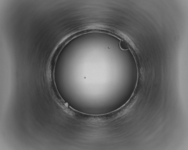 X0000111160931200907071126