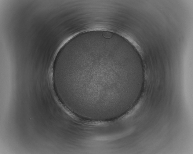 X0000111160933200907071126