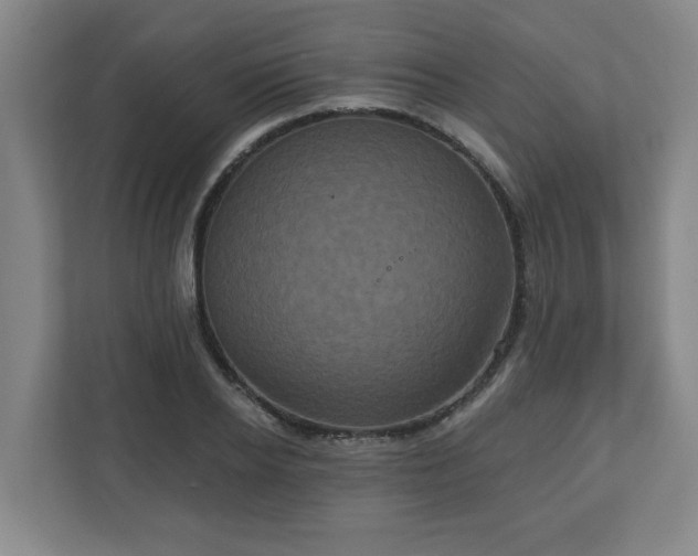 X0000111160934200907071126