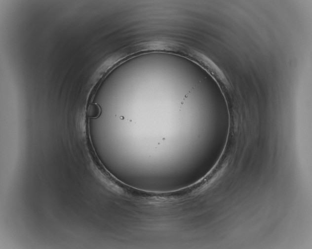X0000111160938200907071126