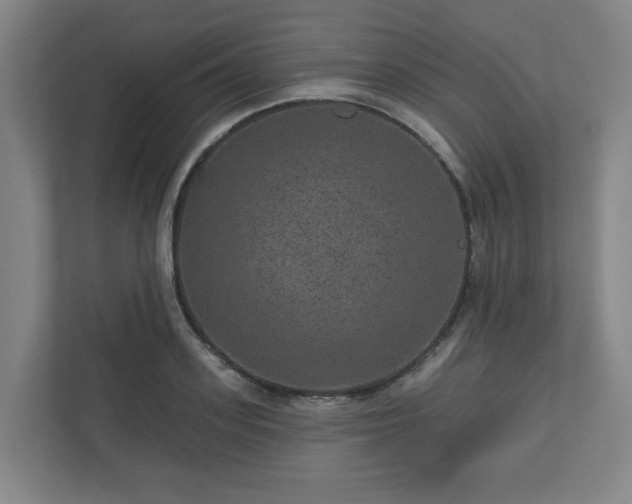 X0000111160939200907071126