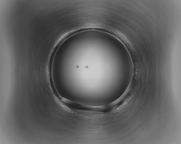 X0000111160942200907071126
