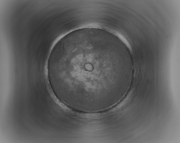 X0000111160944200907071126