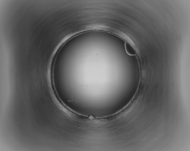 X0000111160947200907071126