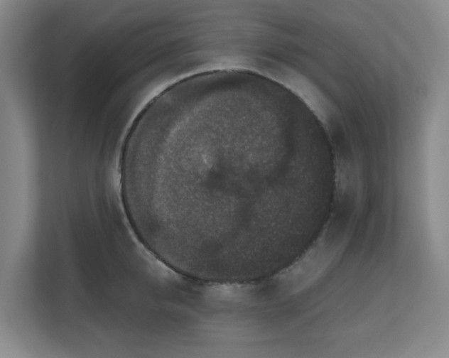X0000111160950200907071126