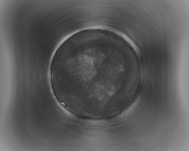 X0000111160951200907071126