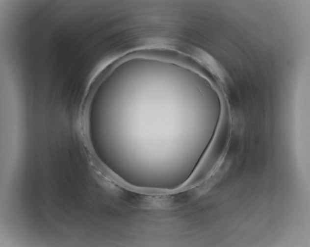 X0000111160952200907071126