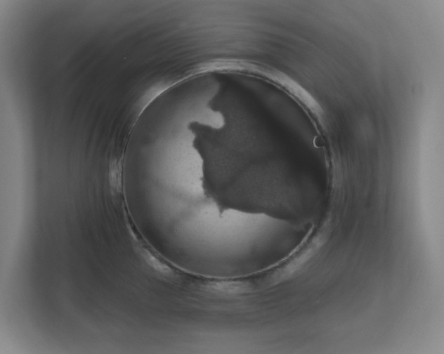 X0000111160953200907071126