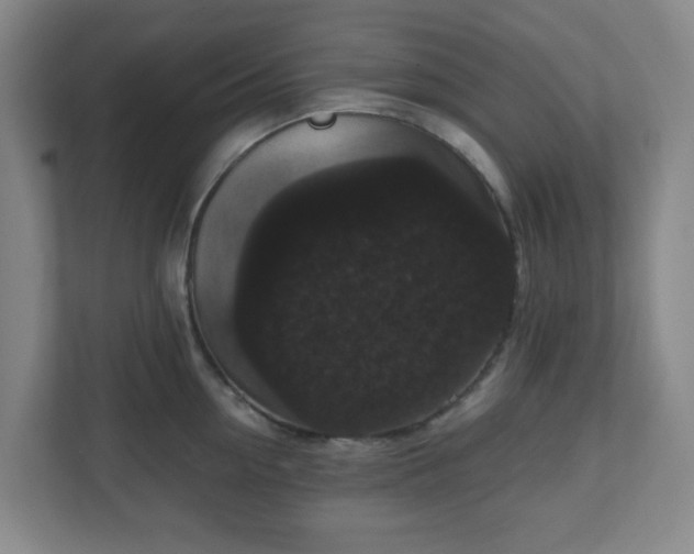 X0000111160954200907071126