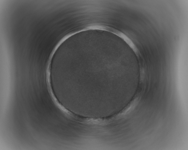 X0000111160955200907071126